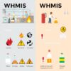 Simbol WHMIS: Panduan Lengkap untuk Keselamatan Bahan Kimia di Tempat Kerja
